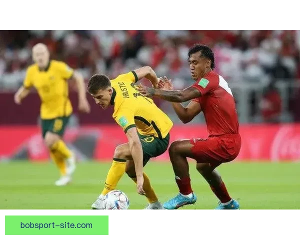 世界杯竞猜胜负规则详解及其对比赛预测策略的影响分析