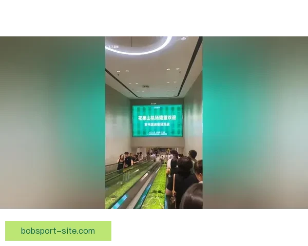 畅享世界杯竞猜乐趣，尽在游戏大厅一站式体验